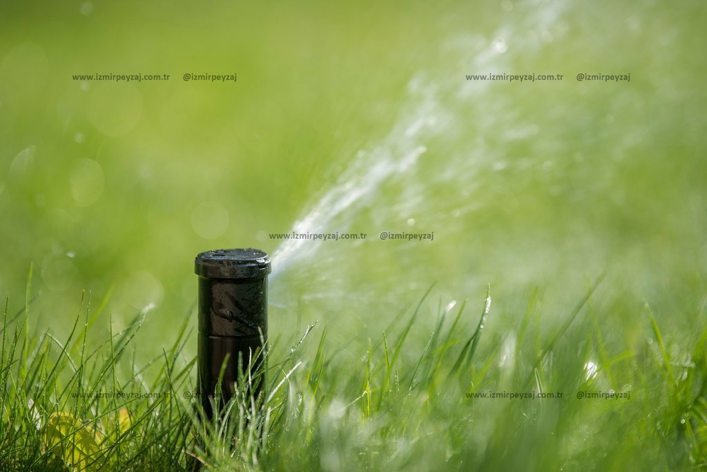 Yeşil çimlerin sulanması için kullanılan bir bahçe sulama sistemi görülmektedir. Sulama başlığı, çim Yeşil çimlerin sulanması için kullanılan bir bahçe sulama sistemi görülmektedir. Sulama başlığı, çimlerin üzerine su püskürterek taze ve canlı kalması