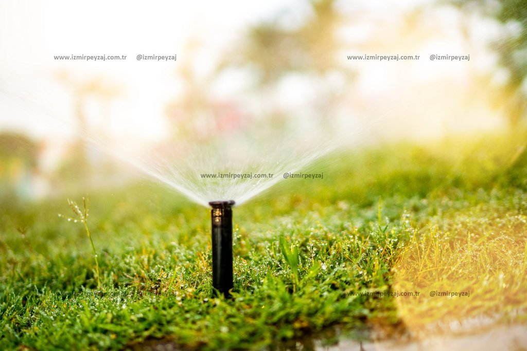 Çim sulama sisteminin yakın çekim fotoğrafı. Bahçe sulama sistemleri ile ilgili içerikler için ideal Çim sulama sisteminin yakın çekim fotoğrafı. Bahçe sulama sistemleri ile ilgili içerikler için ideal bir görseldir.