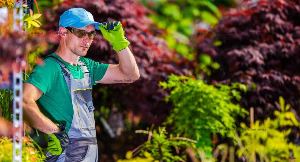 Bahçe Bakım Danışmanlığı Uygulama Örneği - İzmir Peyzaj