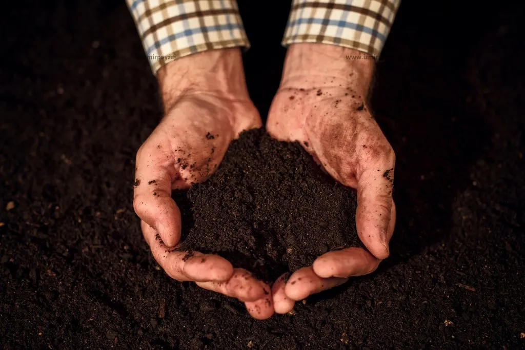 Bitki Besleme Ürünleri Satışı ve Teslimatı - İzmir Peyzaj